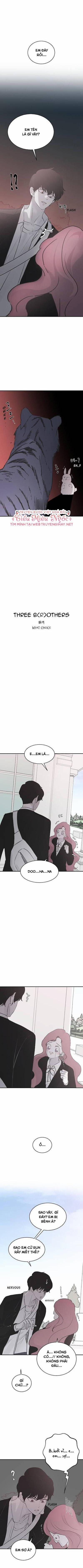 Ba Ông Anh Trai Cực Phẩm Của Tôi 19 trang 1