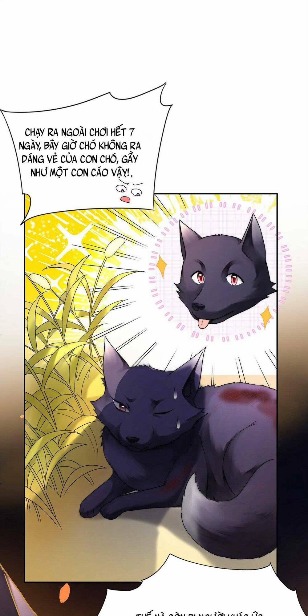 Bá Tổng Không Có Não 1 trang 10