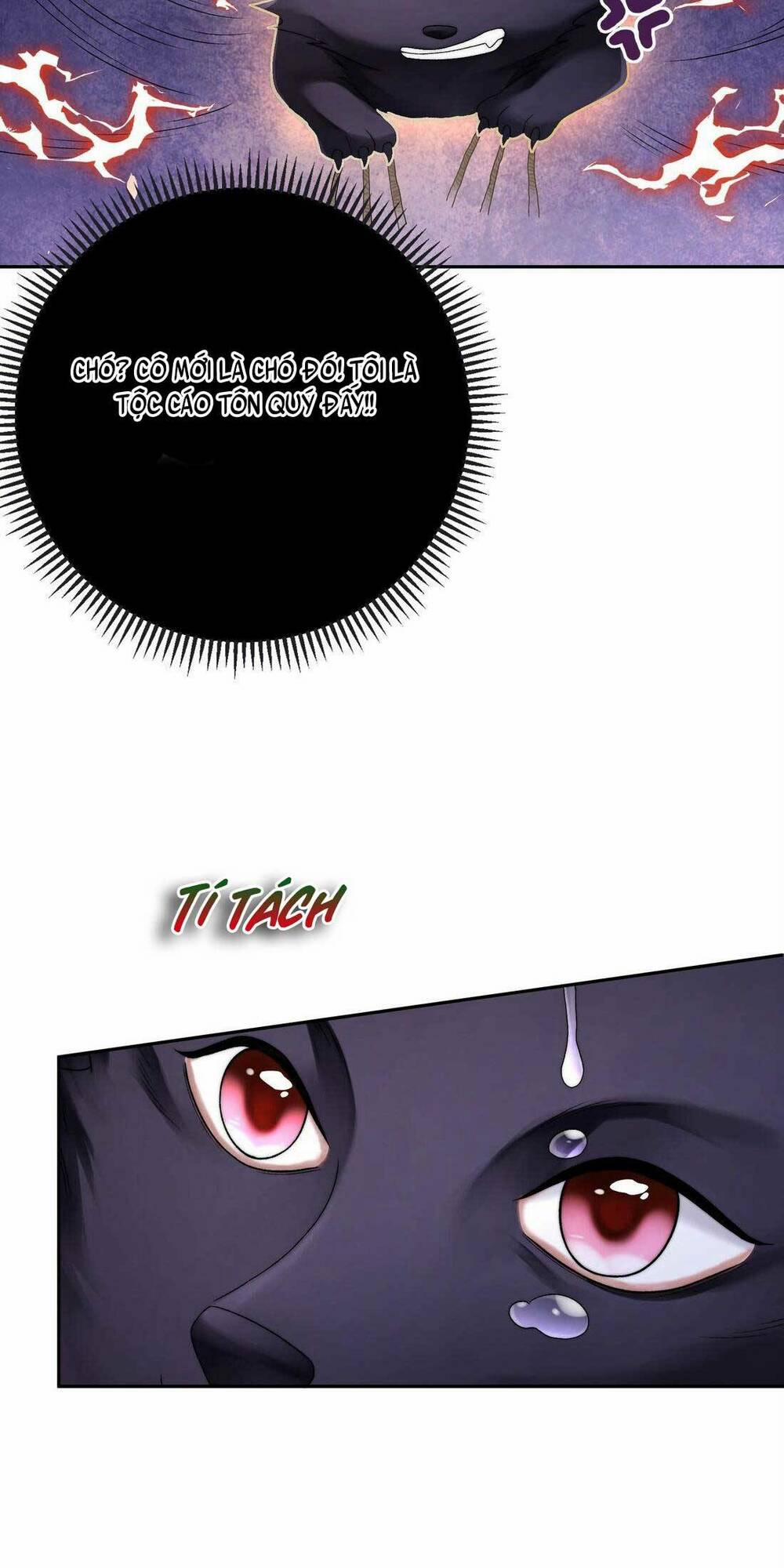 Bá Tổng Không Có Não 1 trang 12