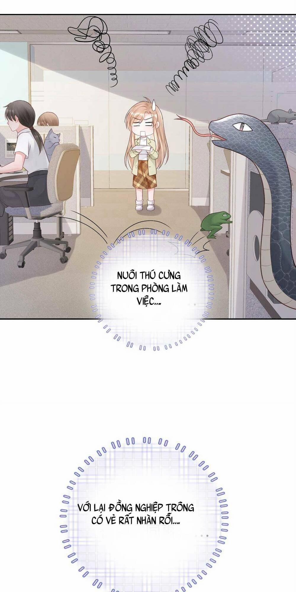 Bá Tổng Không Có Não 3 trang 14