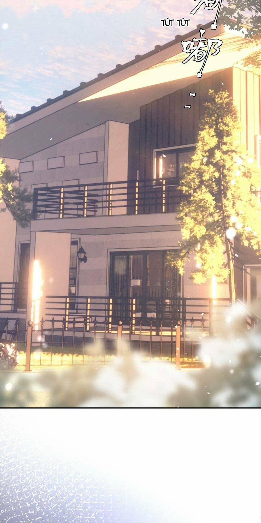 Bá Tổng Không Có Não 5 trang 11