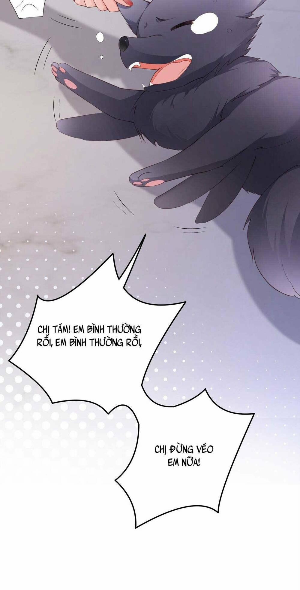 Bá Tổng Không Có Não 7 trang 36