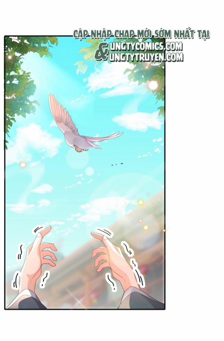 Bá Tổng Vương Phi Lật Xe Chỉ Nam 30 trang 5