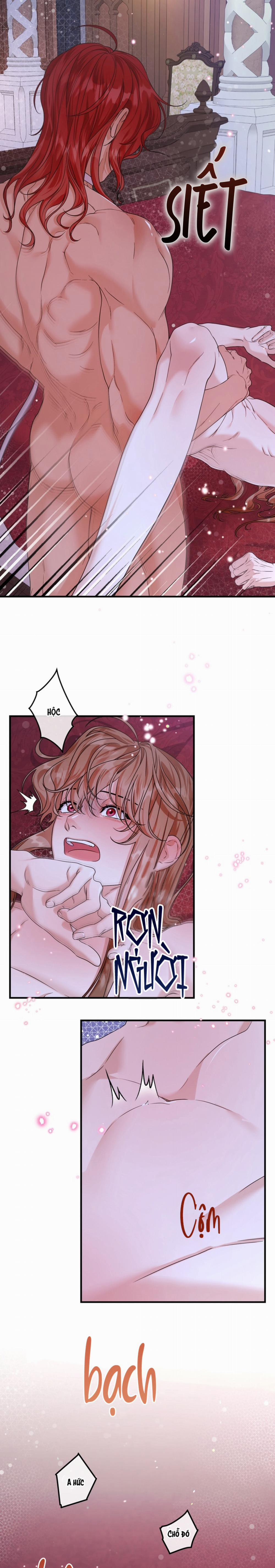 Bá Tước Beta Biến Đổi Thành Omega 18 trang 14