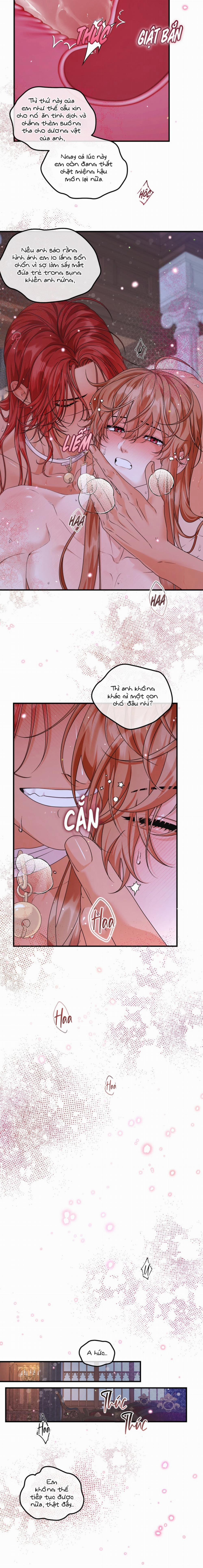 Bá Tước Beta Biến Đổi Thành Omega 19 trang 3