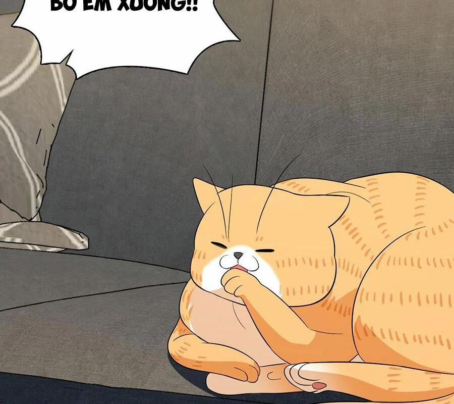 Bà Xã Nhà Tôi Đến Từ Ngàn Năm Trước 338 trang 57