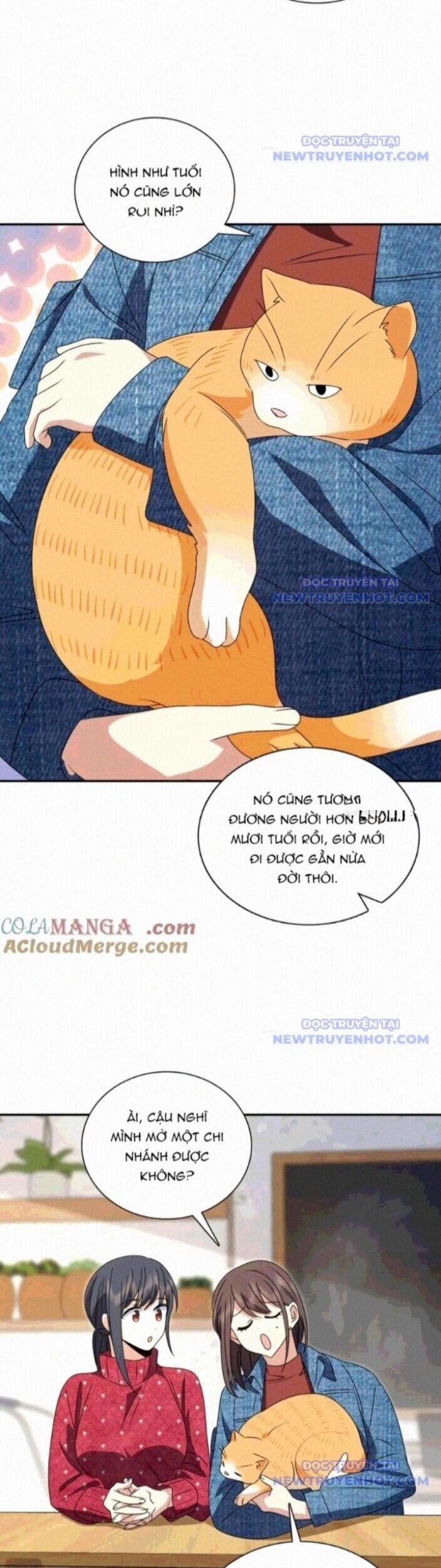 Bà Xã Nhà Tôi Đến Từ Ngàn Năm Trước 356 trang 13