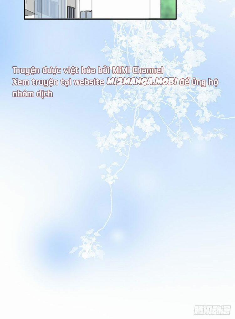 Bà Xã Quyến Rũ Trí Mạng: Tổng Tài Muốn Tái Hôn 13 trang 24