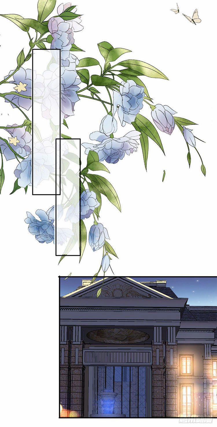 Bà Xã Quyến Rũ Trí Mạng: Tổng Tài Muốn Tái Hôn 17 trang 9