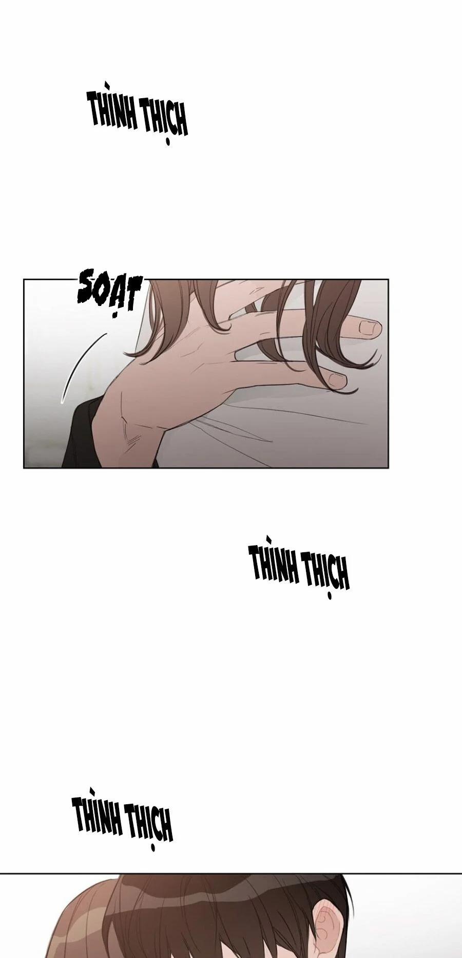 Baby Đến Rồi! 52 trang 1