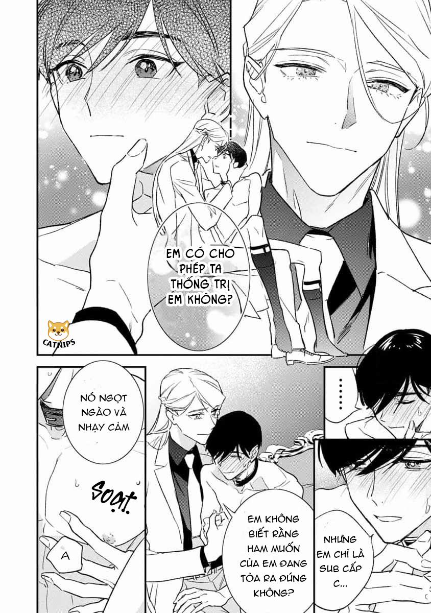 Bác Sĩ À, Tôi Là Một Chú Chó Biết Yêu 4 trang 0