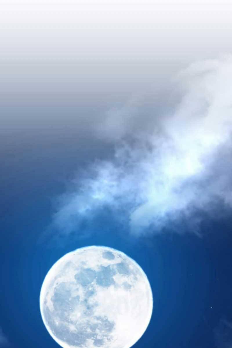 Bác Sĩ Trùng Sinh Về Murim 112 trang 105