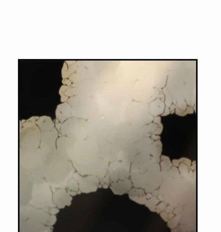 Bác Sĩ Trùng Sinh Về Murim 144 trang 120