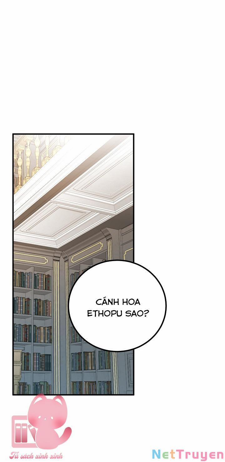 Bác Sĩ Tư Nhân Xin Từ Chức 10 trang 0