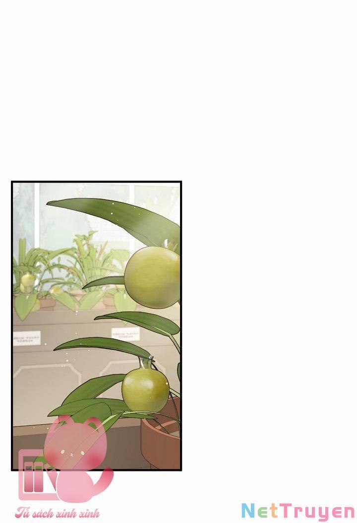 Bác Sĩ Tư Nhân Xin Từ Chức 19 trang 27