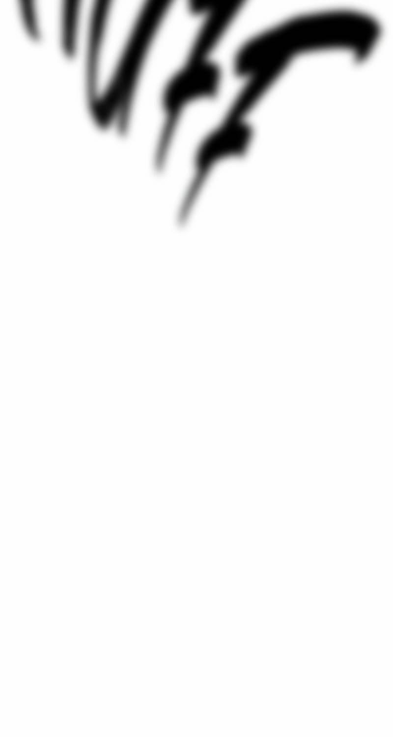 Bậc Thầy Thiết Kế Điền Trang 147 trang 74