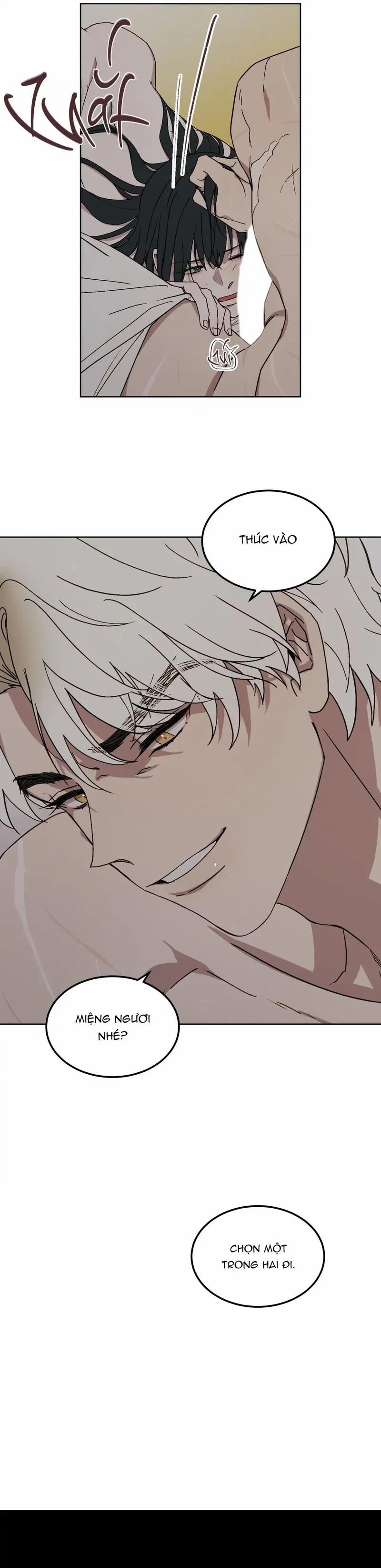 Bạch Hổ: Tình Yêu Và Quyền Lực 4 trang 14