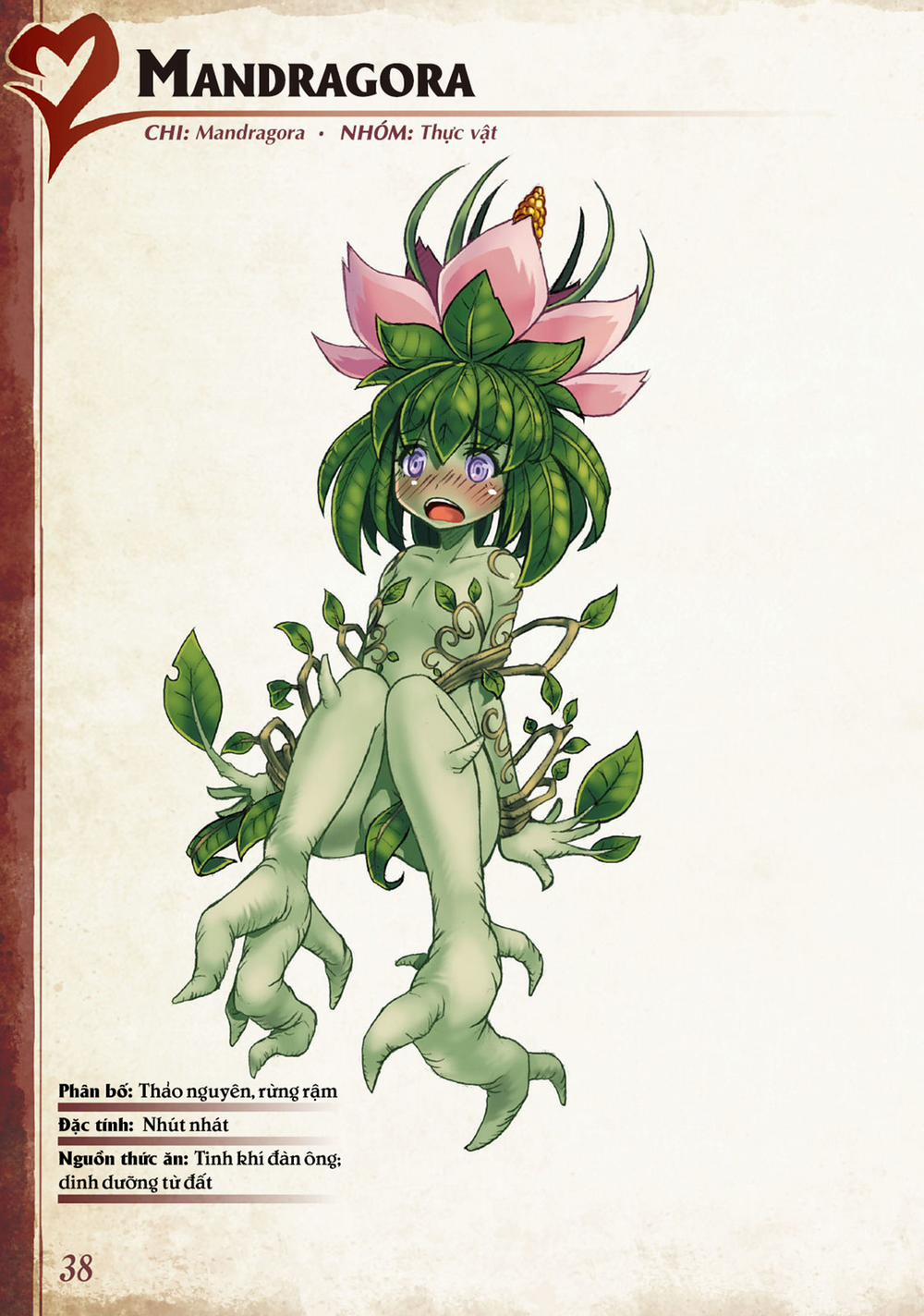 Bách khoa toàn thư Monster Girl 013: Mandragora trang 0