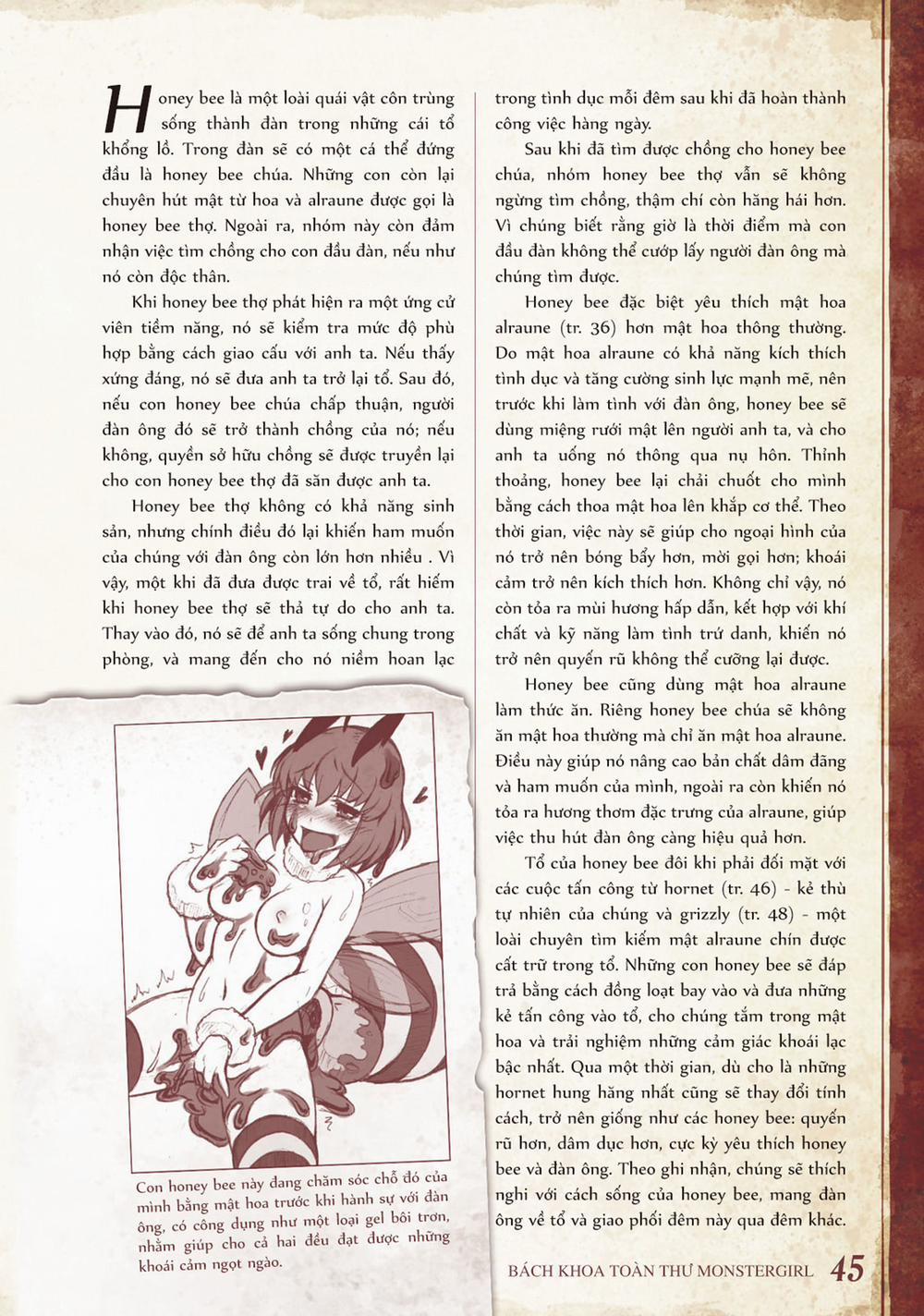 Bách khoa toàn thư Monster Girl 016: Honey bee trang 1