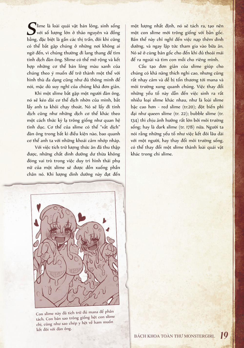 Bách khoa toàn thư Monster Girl 3 - 4 - 005: Slime, Red slime và Queen slime trang 1