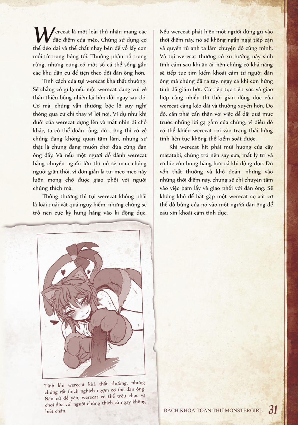 Bách khoa toàn thư Monster Girl 8 0 9 0 10 0 0 Werewolf, Werecat, Wererabbit và Weresheep trang 3