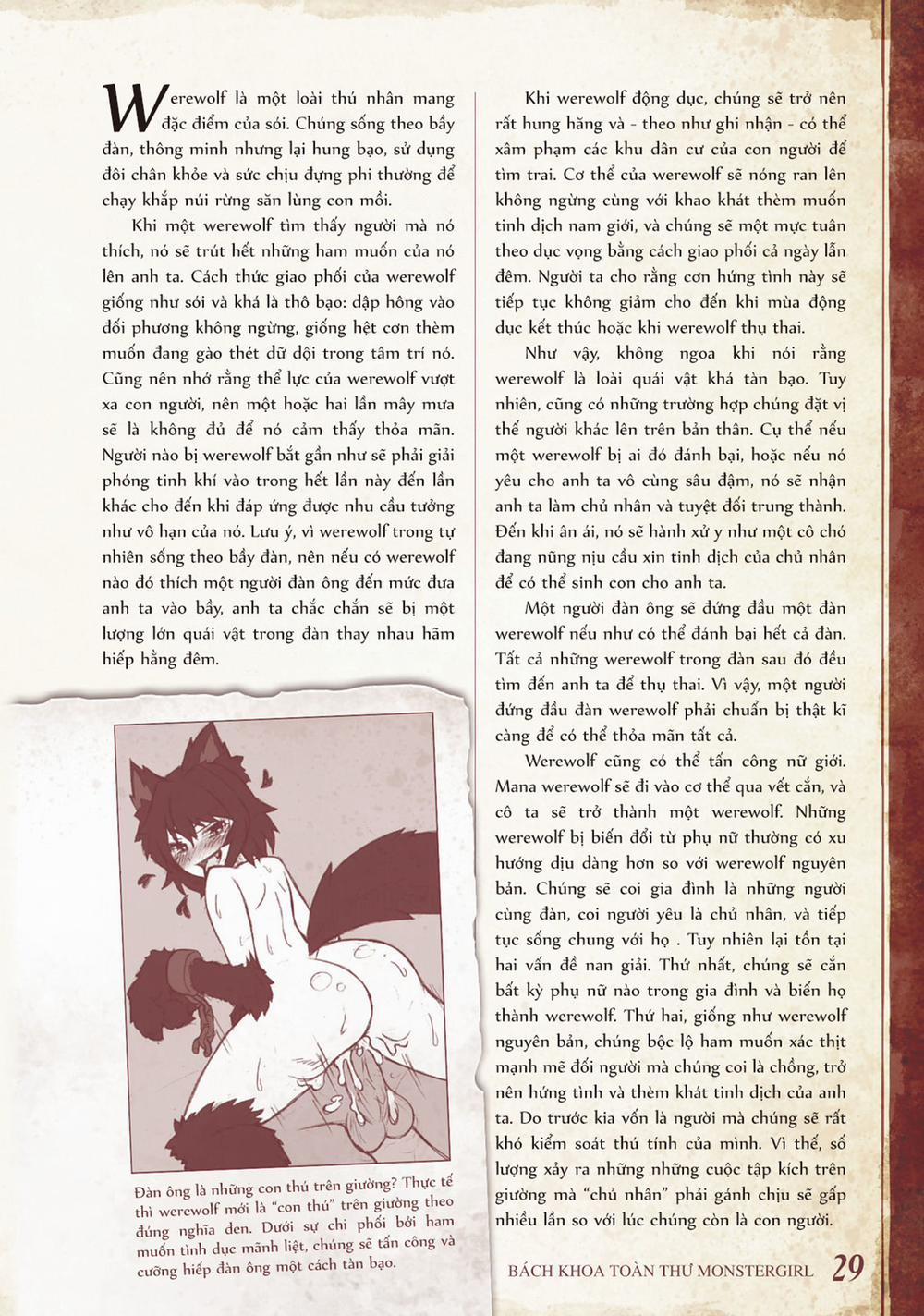 Bách khoa toàn thư Monster Girl 8 - 9 - 10 - 011: Werewolf, Werecat, Wererabbit và Weresheep trang 1
