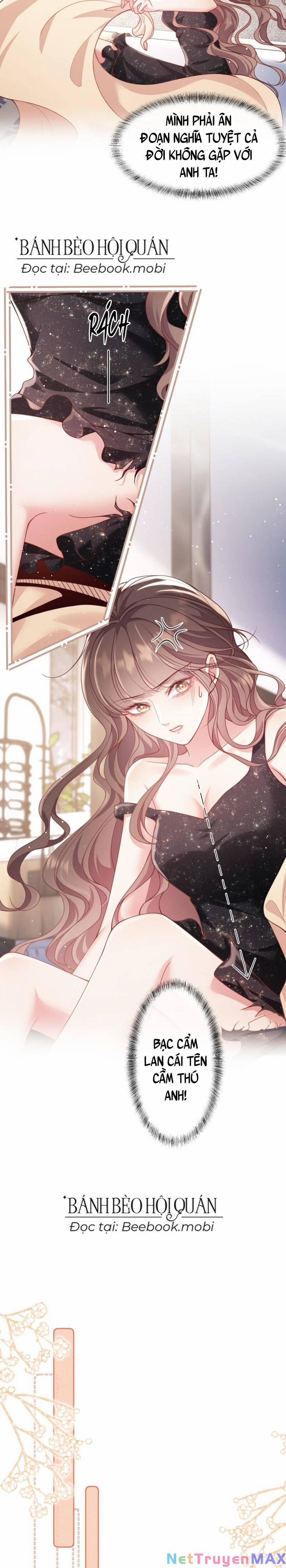 Bạch Nguyệt Quang Ra Tay Với Tôi Rồi 5 trang 4