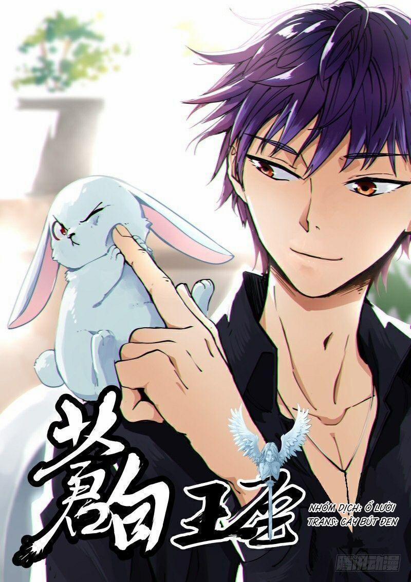 Bạch Vương Tọa 43 trang 0