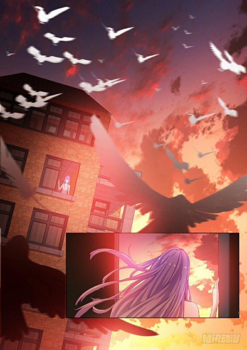 Bạch Vương Tọa 55 trang 1