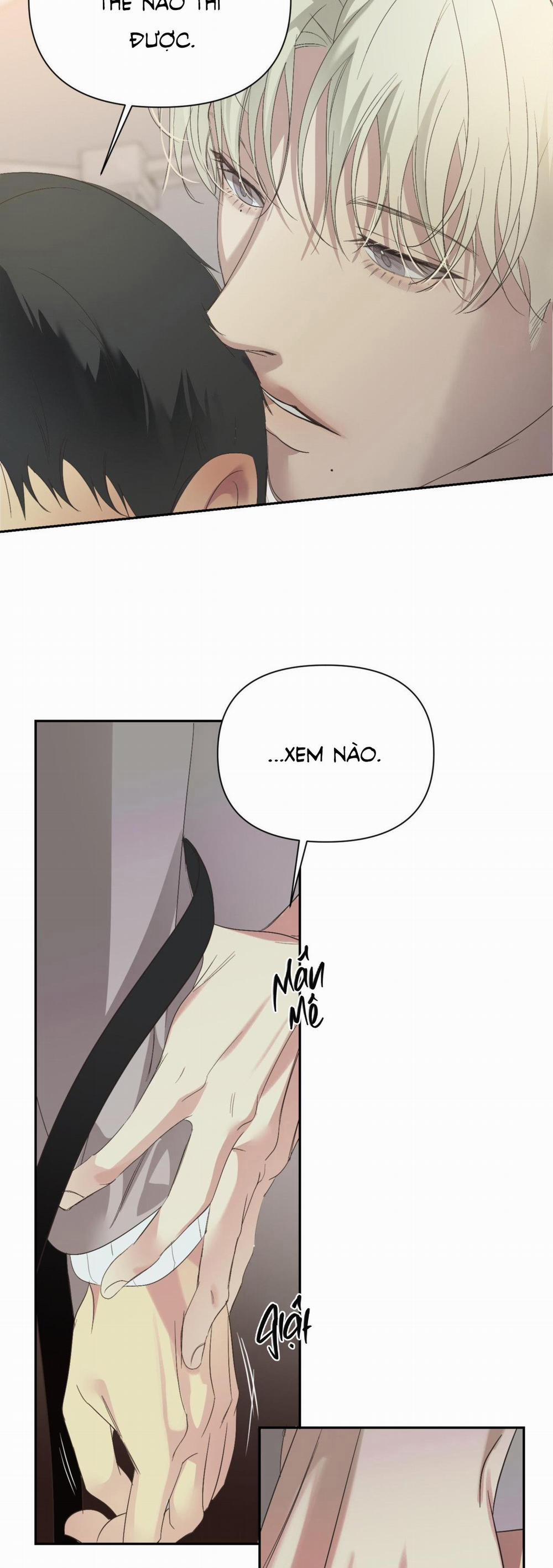 Backlight 15 trang 25