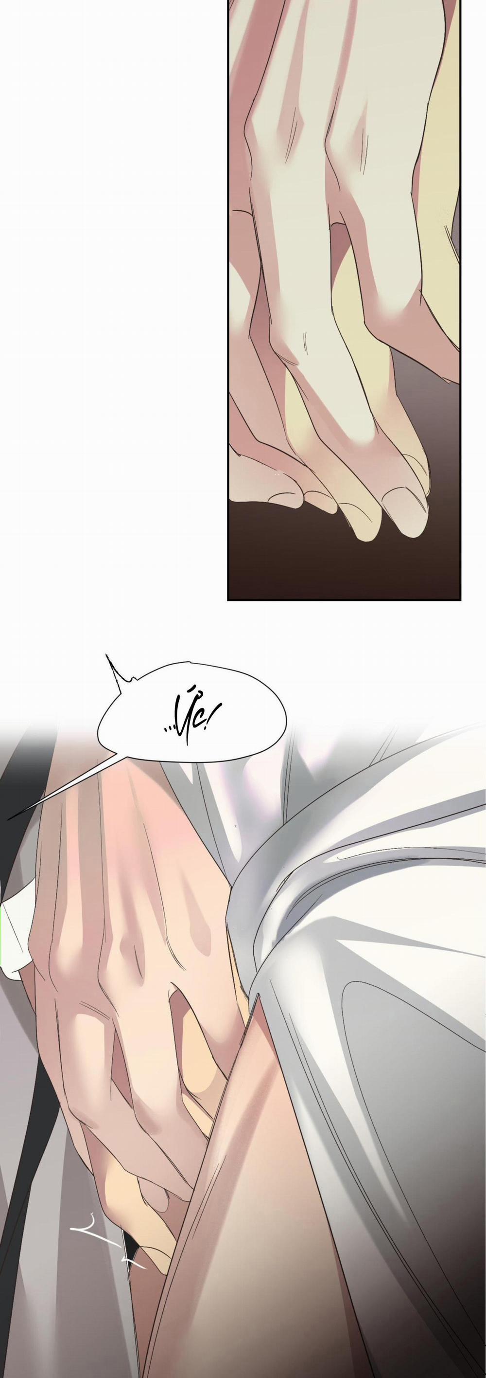 Backlight 15 trang 26