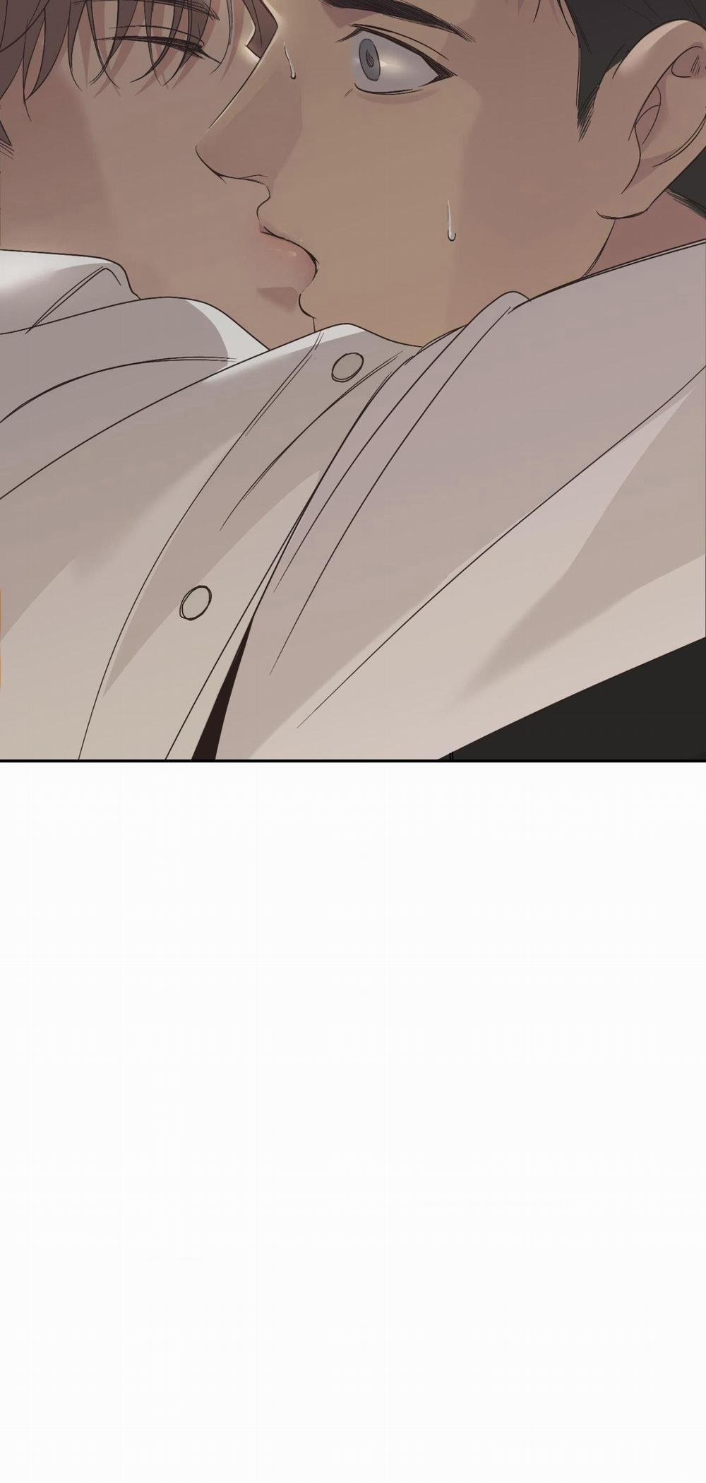 Backlight 19 trang 31