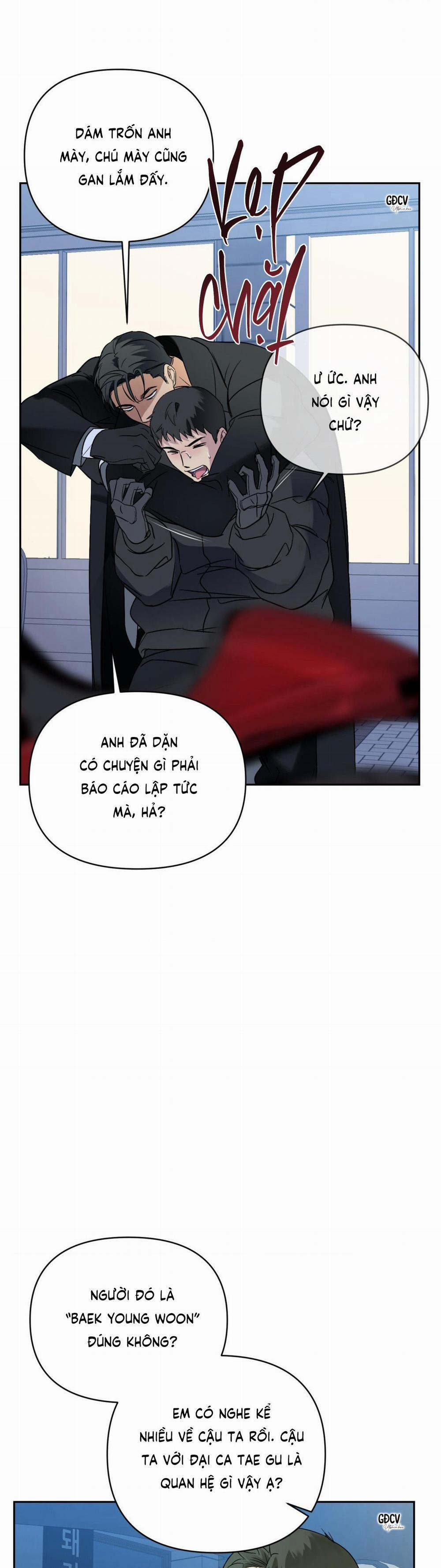 Backlight 8 trang 15