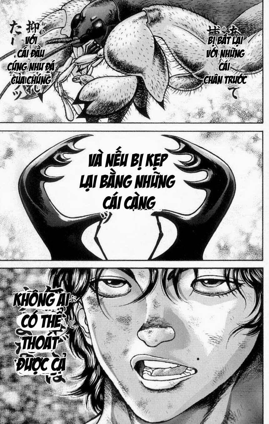 Baki - Son Of Ogre 8 trang 17