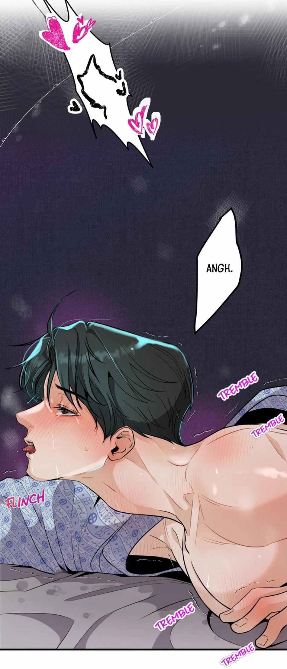 Bản Báo Cáo Bắt Giữ Tuyến Tiền Liệt 3 trang 47