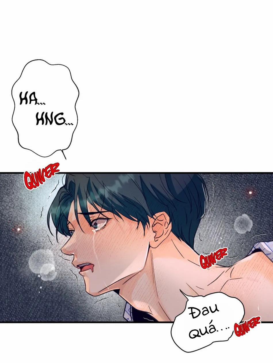 Bản Báo Cáo Bắt Giữ Tuyến Tiền Liệt 4 trang 33