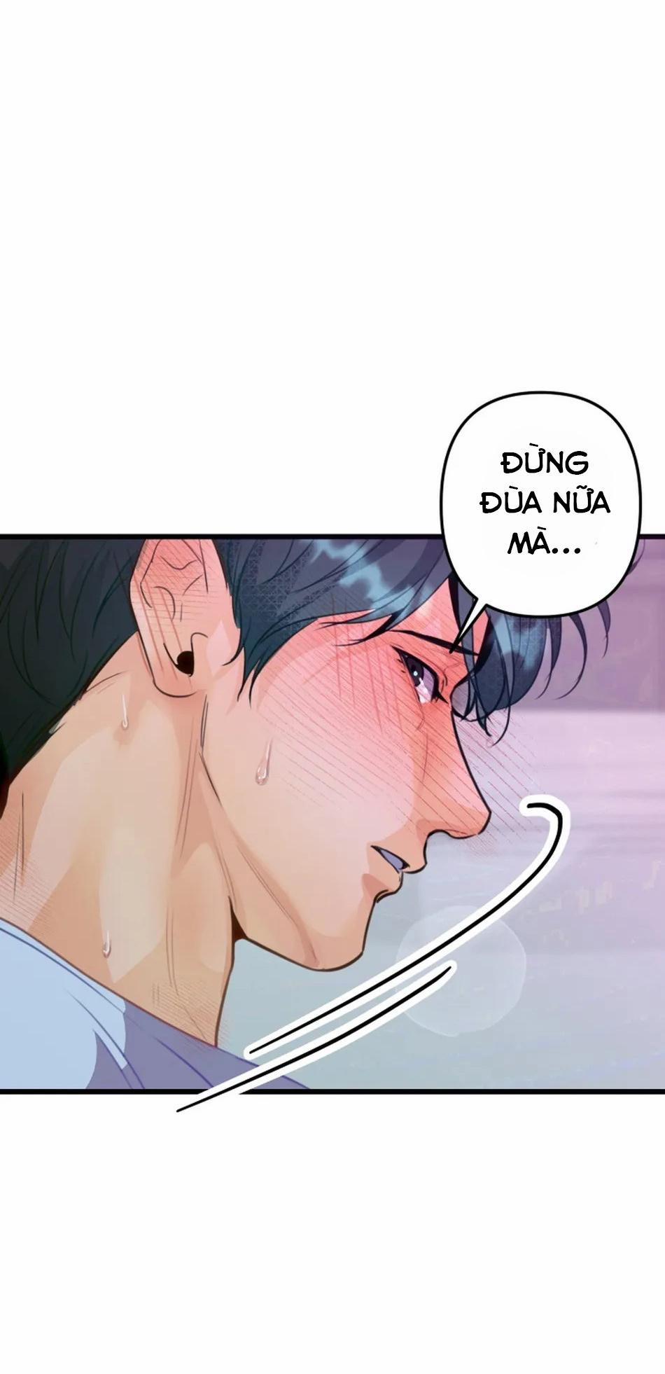 Bản Báo Cáo Bắt Giữ Tuyến Tiền Liệt 6 trang 16