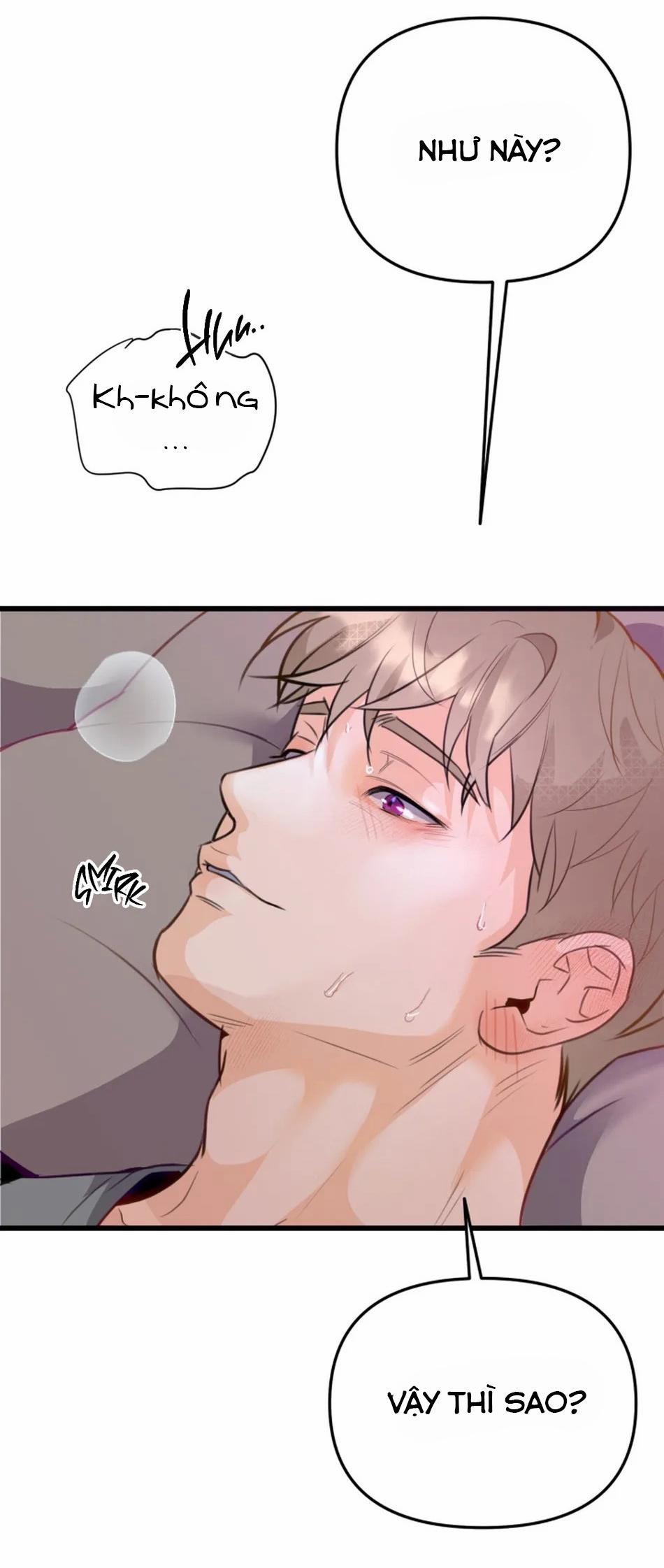 Bản Báo Cáo Bắt Giữ Tuyến Tiền Liệt 6 trang 22