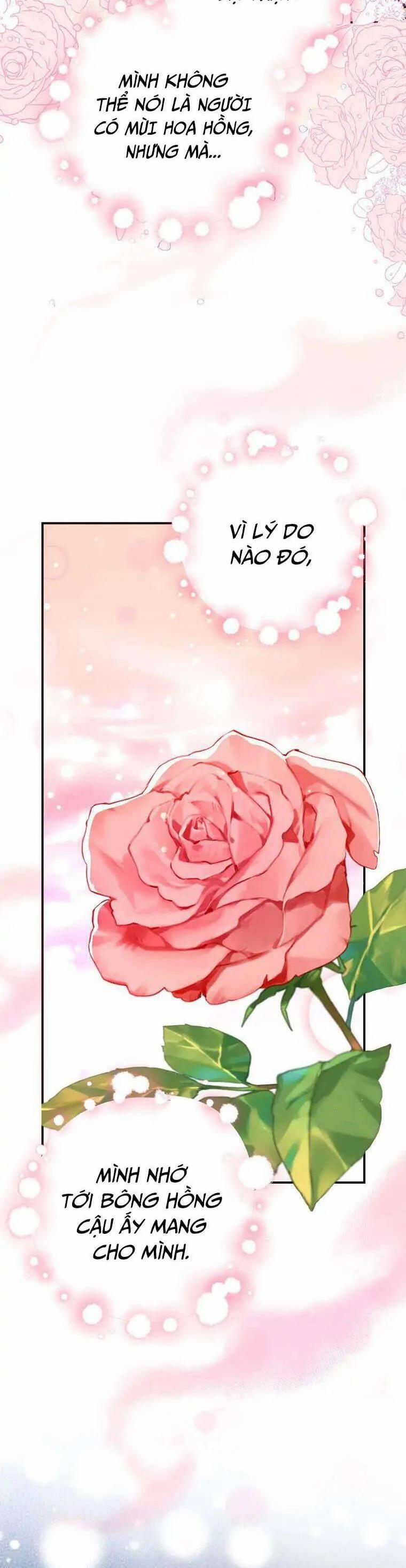 Bạn Bè Với Nhau Không Phải Vậy Đâu 17 trang 14