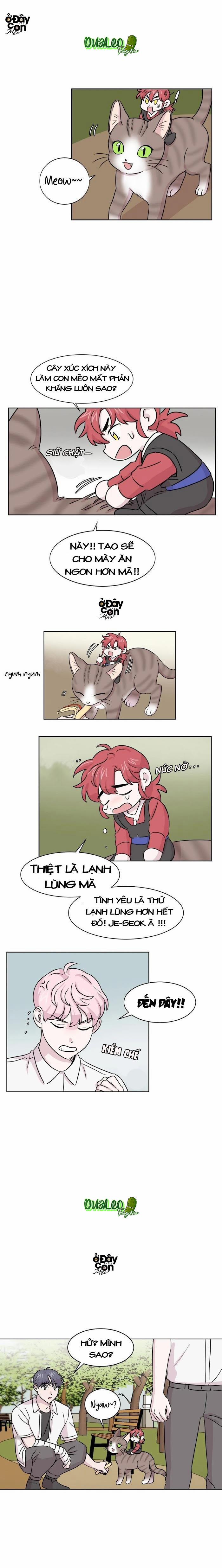 Bạn Có Biết Về Thiên Thần Hộ Mệnh Không 10 trang 5