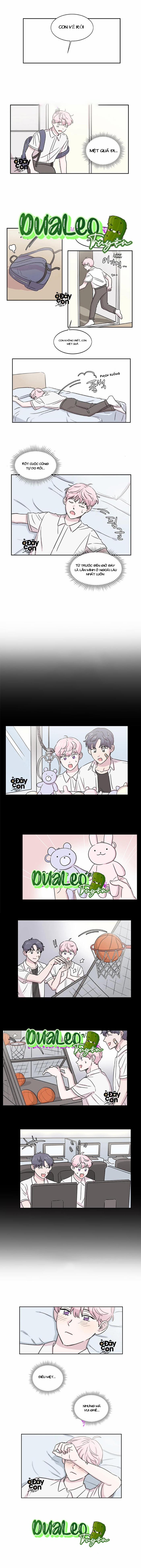 Bạn Có Biết Về Thiên Thần Hộ Mệnh Không 6 trang 4