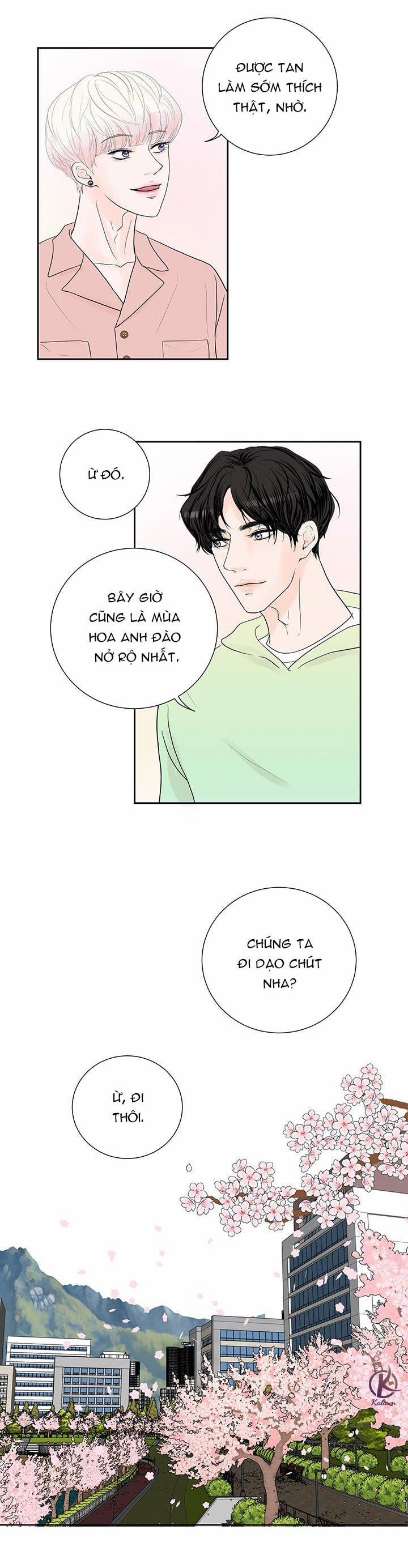 Bạn Có Tò Mò Về Bài Review? 35 trang 13