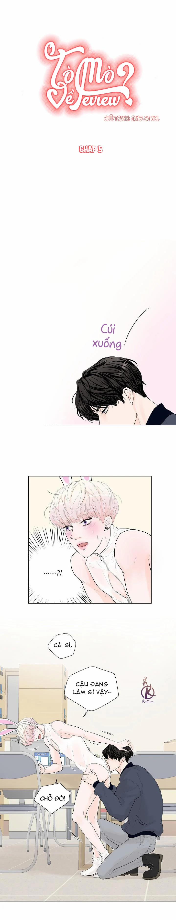 Bạn Có Tò Mò Về Bài Review? 5 trang 1