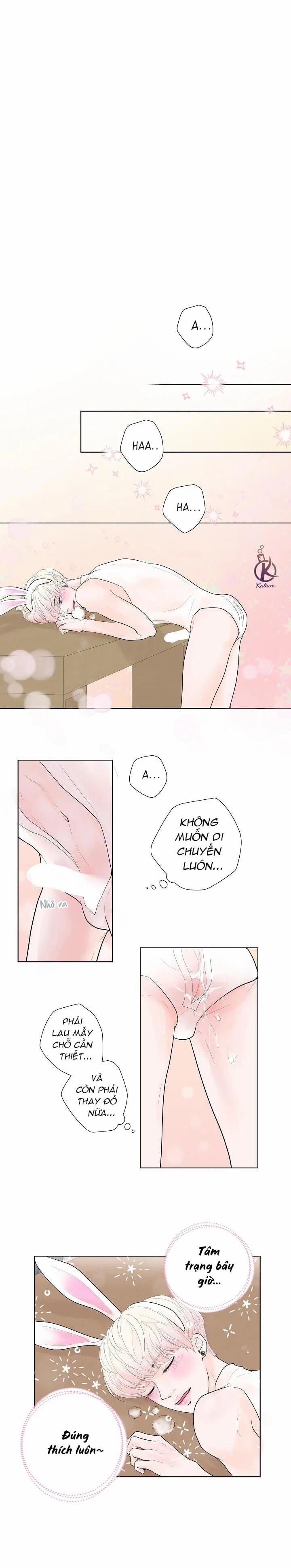 Bạn Có Tò Mò Về Bài Review? 5 trang 11