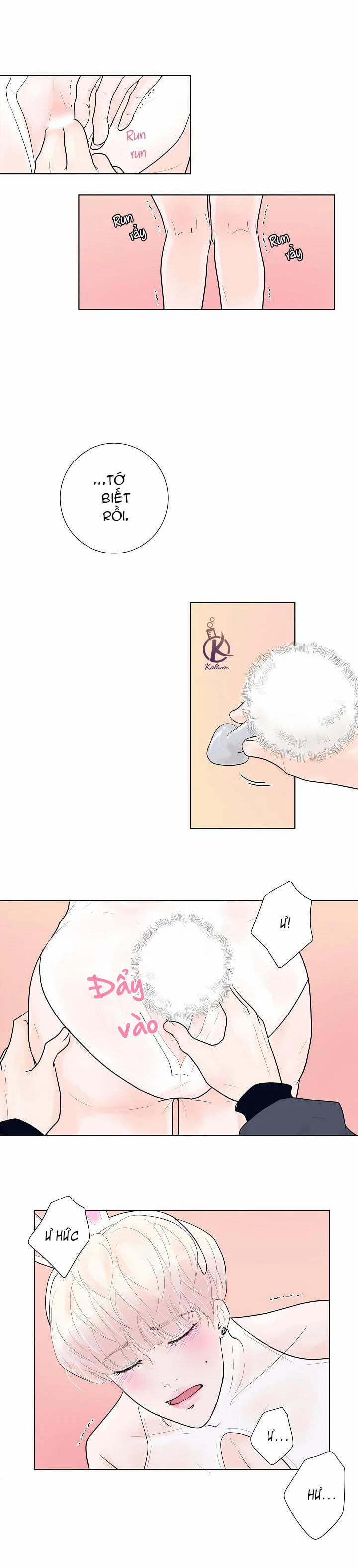 Bạn Có Tò Mò Về Bài Review? 5 trang 6