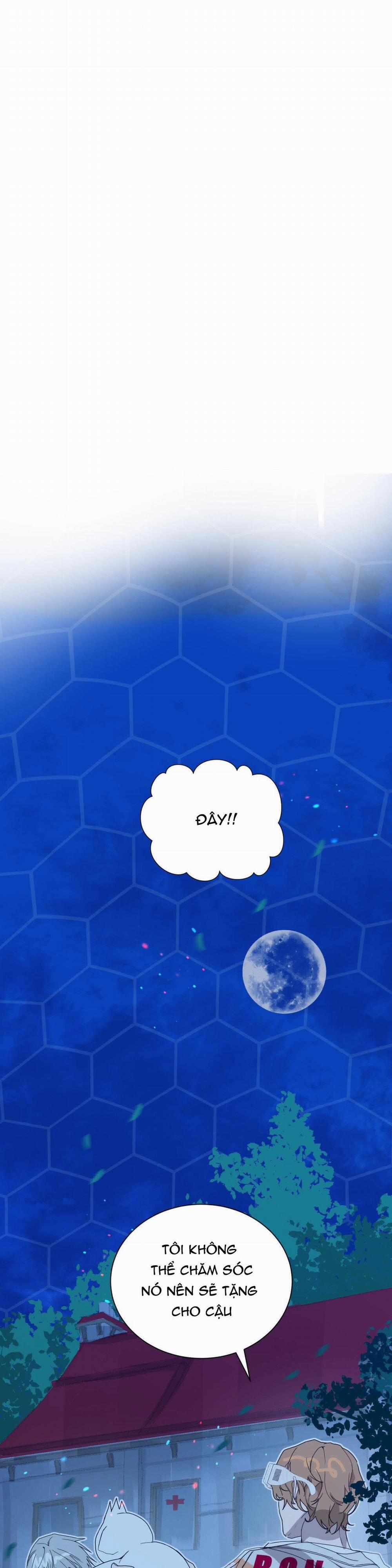 BẠN CÙNG LỚP MẪU GIÁO MẶT TRỜI 2 trang 26