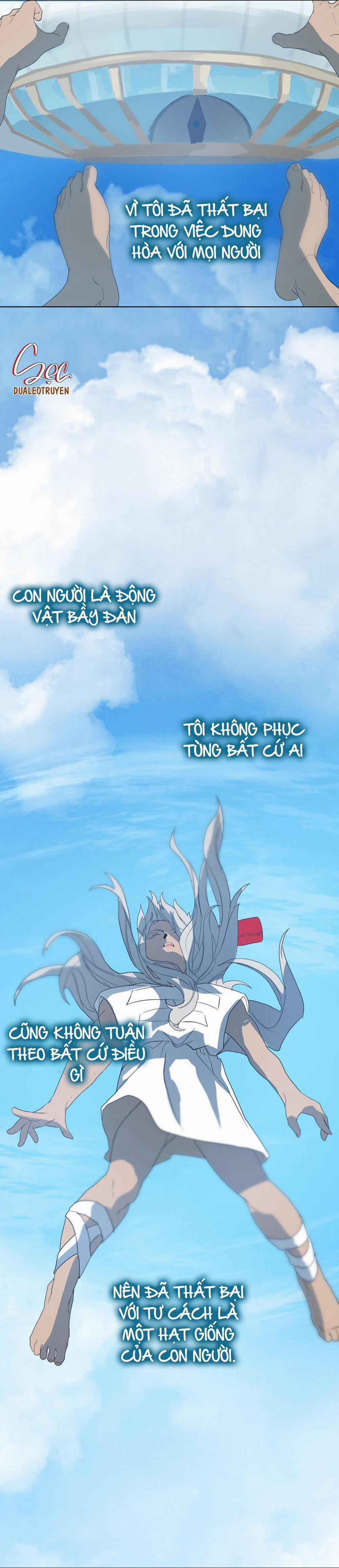 BẠN CÙNG LỚP MẪU GIÁO MẶT TRỜI 23 trang 48