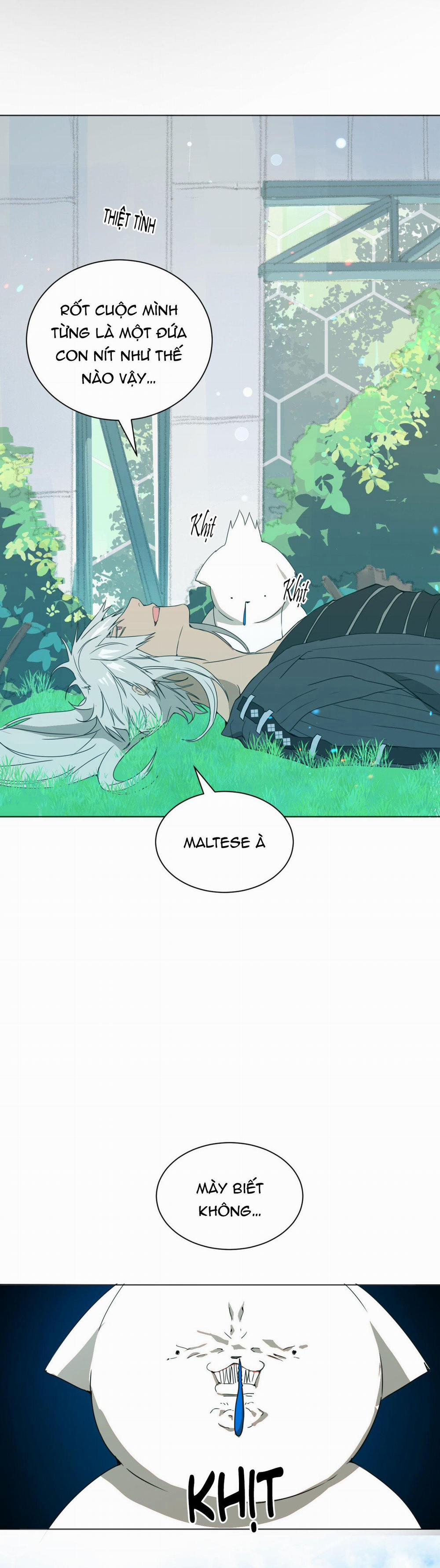 BẠN CÙNG LỚP MẪU GIÁO MẶT TRỜI 3 trang 12