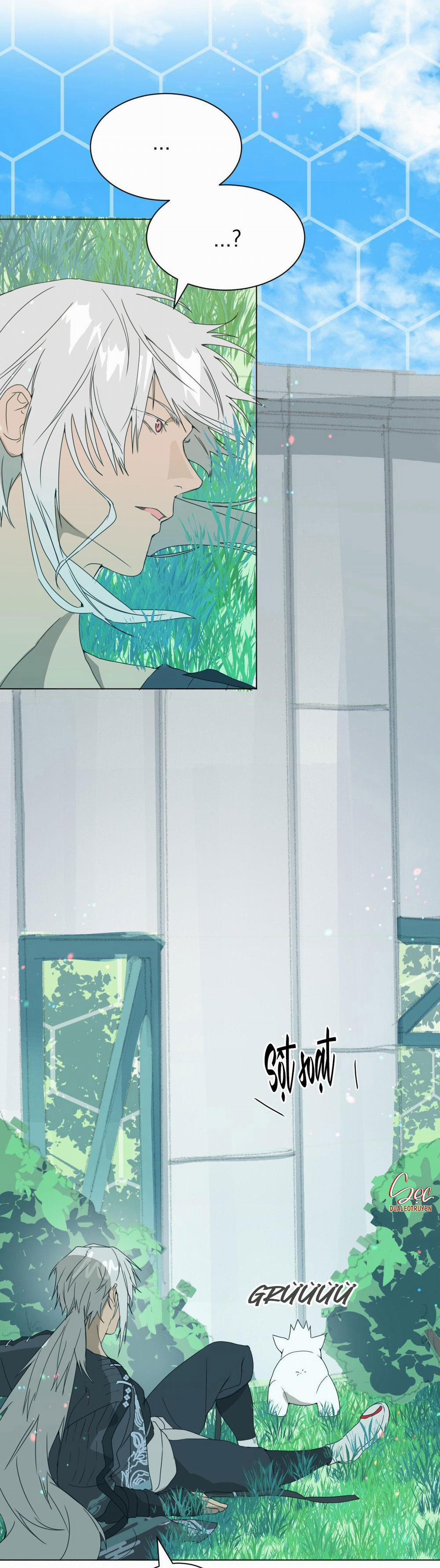 BẠN CÙNG LỚP MẪU GIÁO MẶT TRỜI 3 trang 13