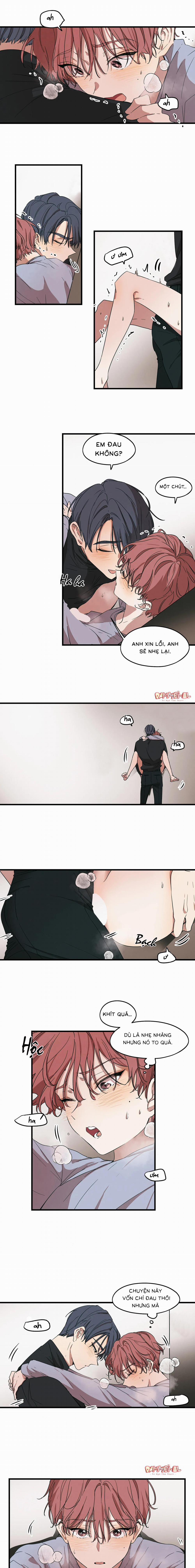 Bạn Cùng Phòng Chuẩn Gu 17 trang 1